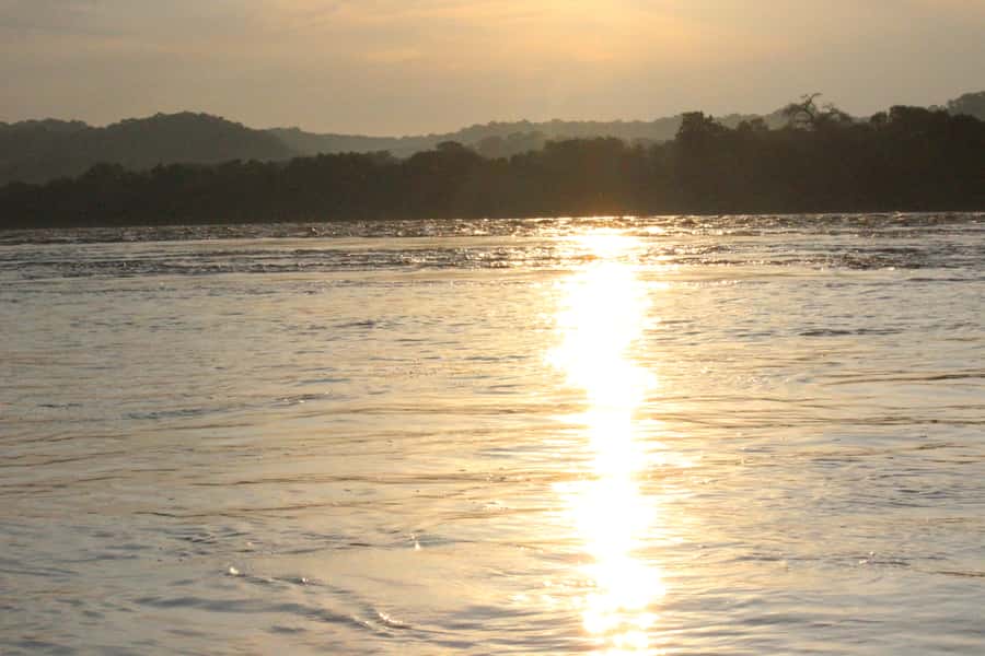 Chobe National Park: Game Drive, Boat Tour, and Lunch - Lunch at about 12:30 PM