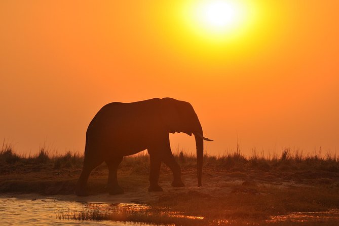 Chobe National Park Game Drive, Botswana - Why the Chobe river country is special