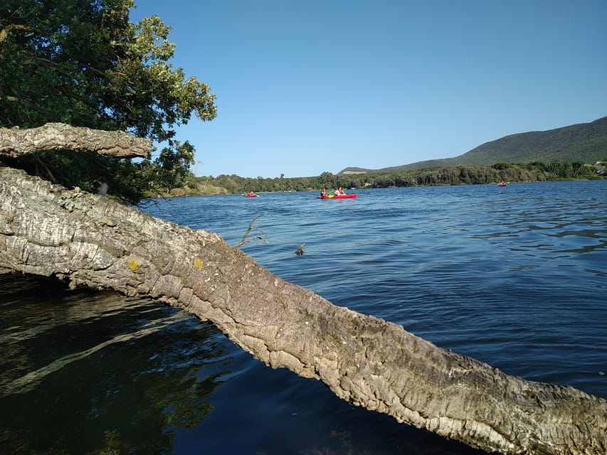 Circeo National Park:Guided kayak tour on the Lake Sabaudia - Why Lake Sabaudia makes a good kayaking setting