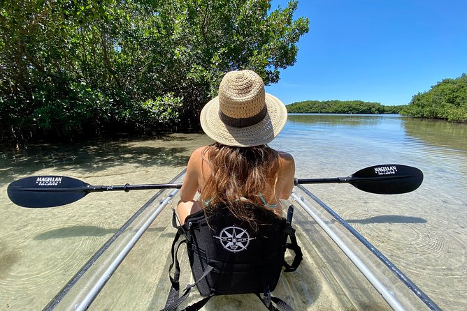 Clear Kayak Tour of Shell Key Preserve and Tampa Bay Area - What makes this Shell Key paddle worth your time