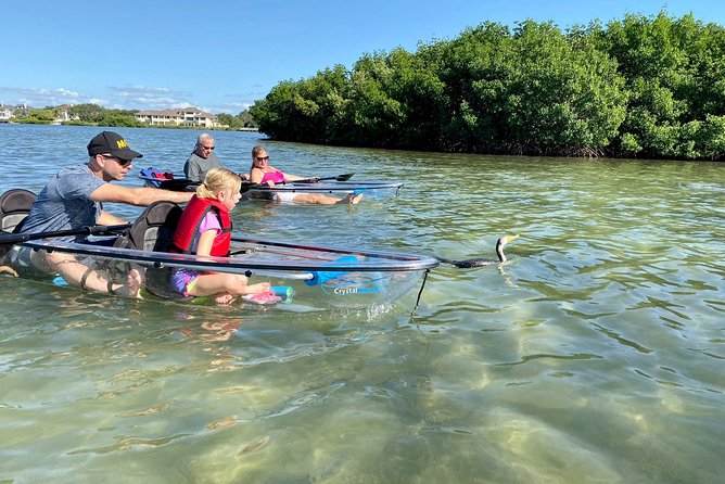 Clear Kayak Tour of Shell Key Preserve and Tampa Bay Area - Shell Key beach, shells, and sandbars