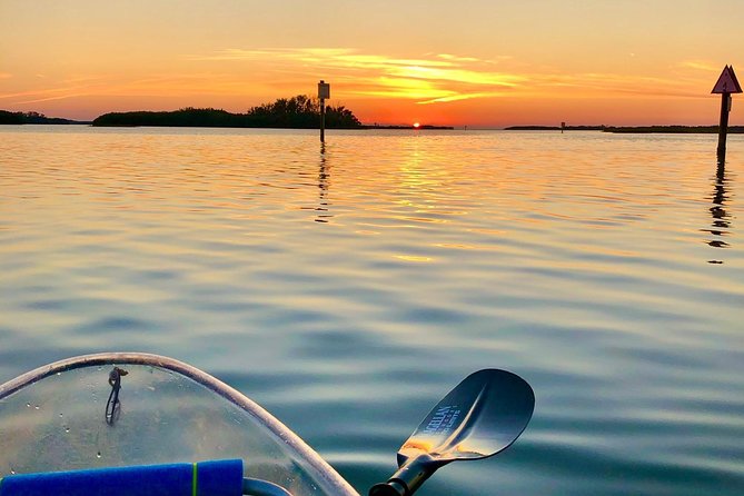 Clear Kayak Tour of Shell Key Preserve and Tampa Bay Area - The return paddle and choosing your start time