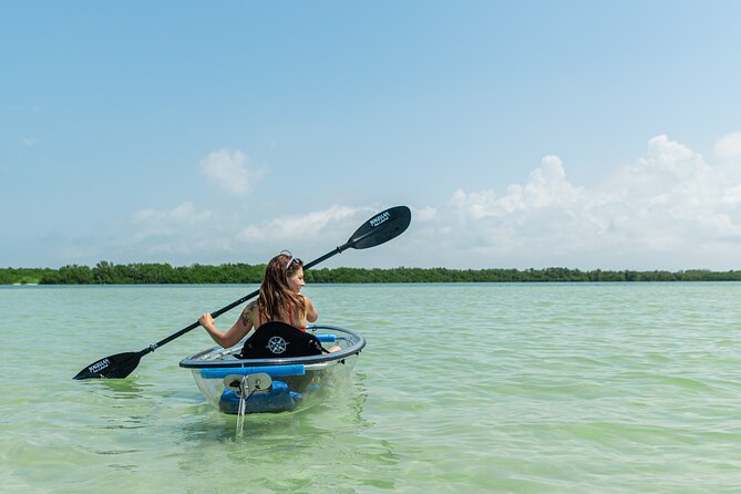 Clear Kayak Tour of Shell Key Preserve and Tampa Bay Area - Clear kayaks and the underwater view