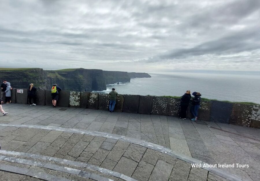 Cliffs of Moher and National Park Private Limousine Tour - Key points at a glance