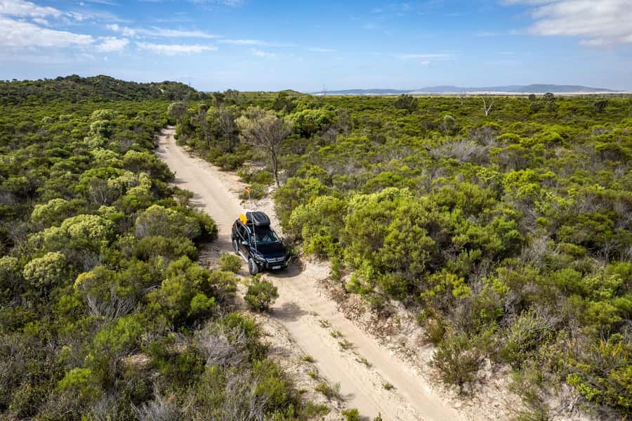 Coffin Bay National Park: Highlights and Off-Road 4WD Tour - Key points at a glance