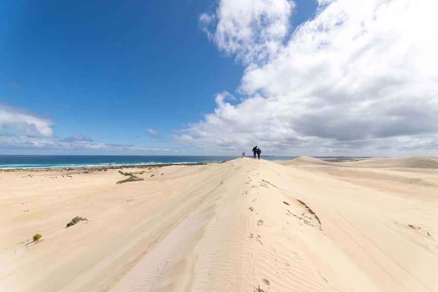 Coffin Bay National Park: Highlights and Off-Road 4WD Tour - Wildlife, photography, and the guide’s role