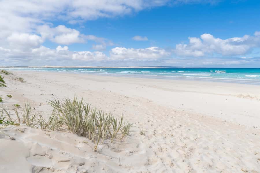 Coffin Bay National Park: Highlights and Off-Road 4WD Tour - The final call: is this Coffin Bay 4WD tour worth it?