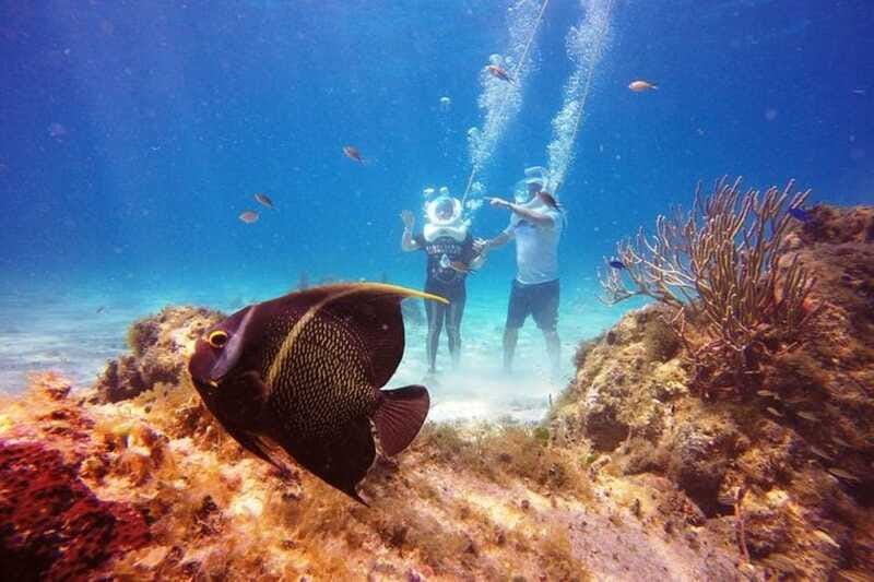 Cozumel: Sea Trek Adventure at Chankanaab National Park - Snorkeling after the helmet walk