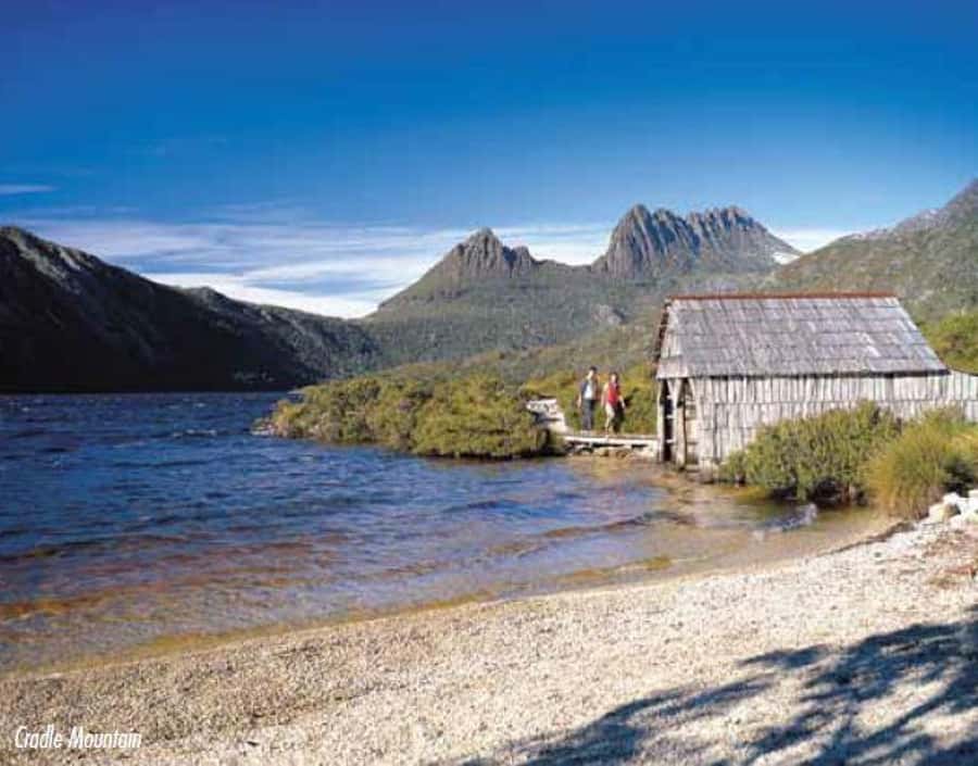 Cradle Mountain National Park by Coach from Launceston - Sheffield’s murals give the morning a local pause