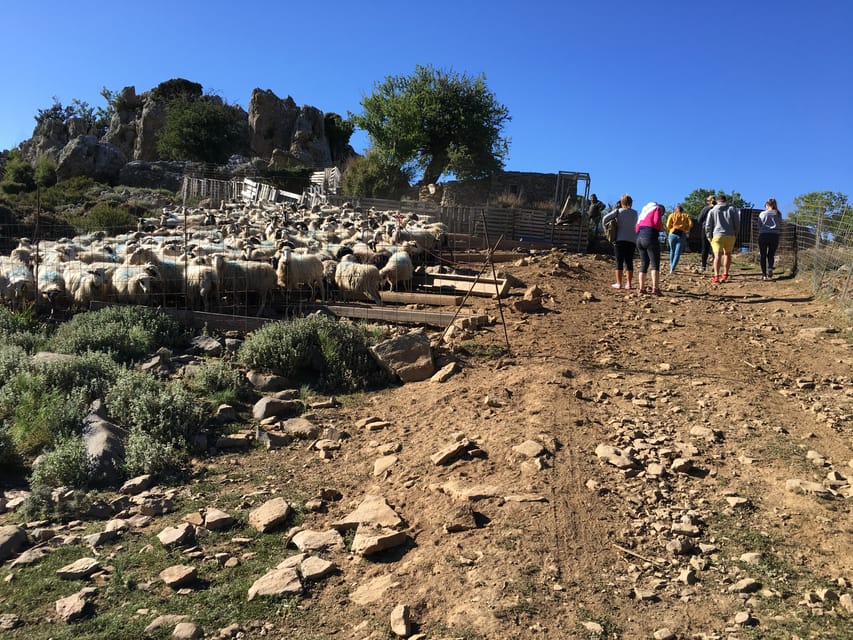Crete: White Mountains Preserve Day Tour - Reaching the shepherd’s hut at 1350 meters