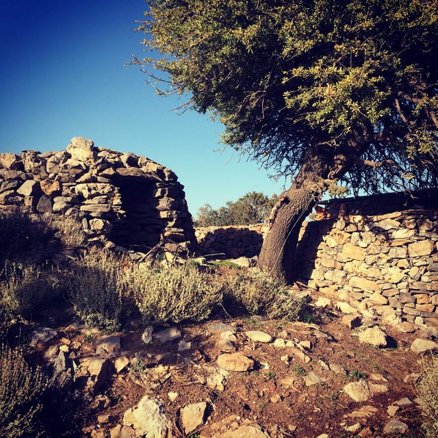 Crete: White Mountains Preserve Day Tour - From the coast to Deres village