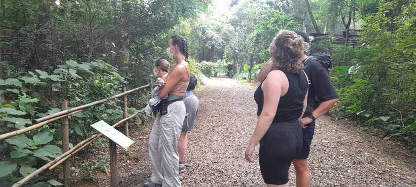 Cuc Phuong National Park Hiking Tour - The 168 steps to the Cave of Prehistoric Man