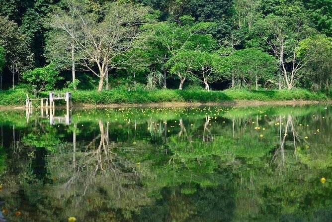 Cuc Phuong National Park Private Day Tour: Trekking & Primates - Why Cuc Phuong makes a worthwhile day trip