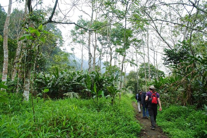 Cuc Phuong National Park Private Day Tour: Trekking & Primates - The 8:00 a.m. departure from Hanoi
