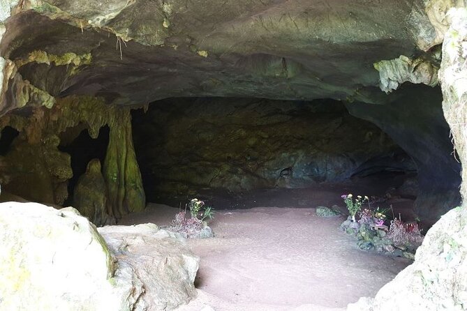 Cuc Phuong National Park Private Day Tour: Trekking & Primates - Hiking toward the thousand-year-old tree