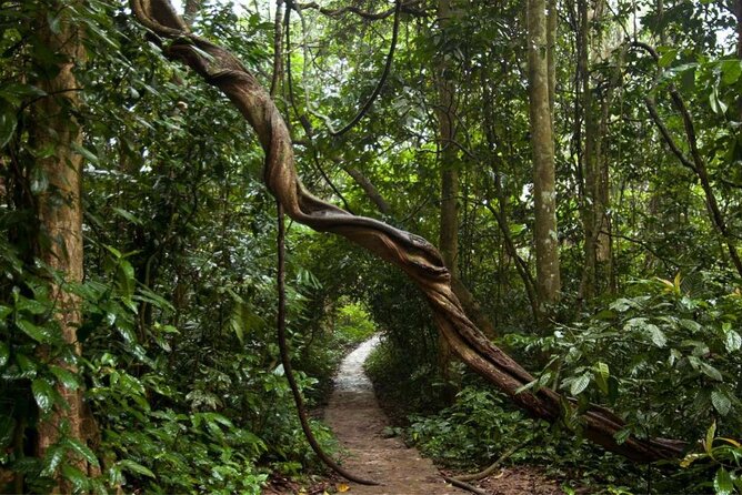 Cuc Phuong National Park Private Day Tour: Trekking & Primates - The ride back to Hanoi