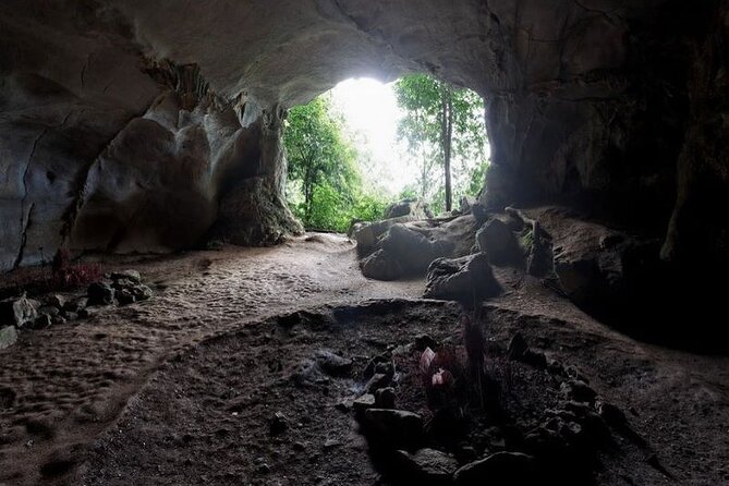 Cuc Phuong National Park Private Day Tour: Trekking & Primates - What the $99 price really covers