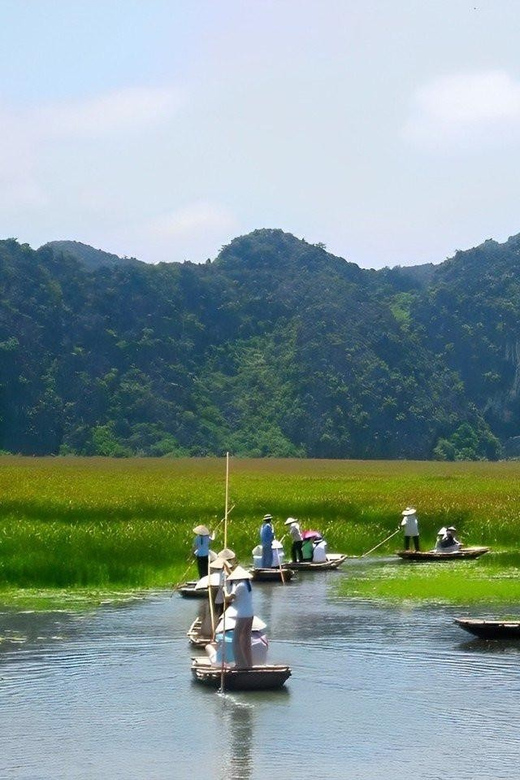CUC PHUONG NATIONAL PARK - VAN LONG DAI LY TOUR DAY TRIP - Key points to know before booking