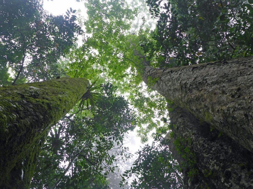 CUC PHUONG NATIONAL PARK - VAN LONG DAI LY TOUR DAY TRIP - Van Long by rowing boat