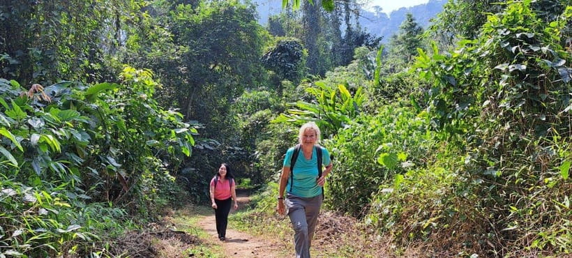 Cuc Phuong National Park - Van Long Day Trip From Hanoi - Why Cuc Phuong and Van Long work together