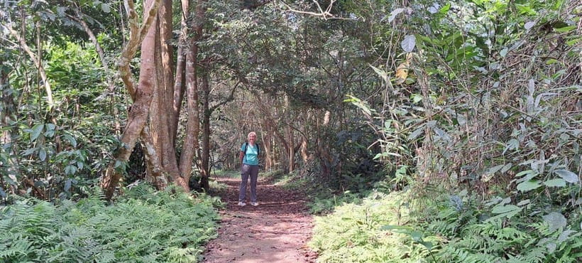 Cuc Phuong National Park - Van Long Day Trip From Hanoi - The three-hour road to Cuc Phuong