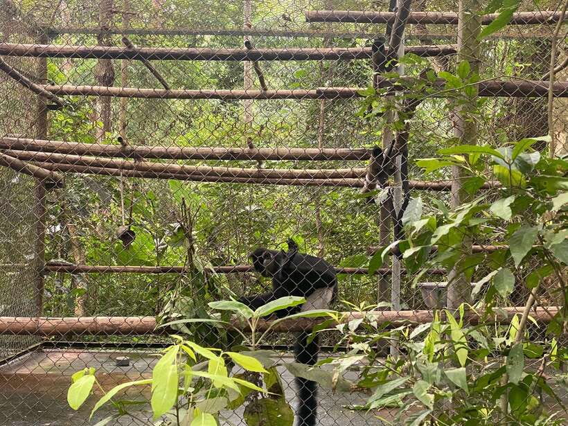 Cuc Phuong National Park - Van Long Day Trip From Hanoi - What the $76 price really covers