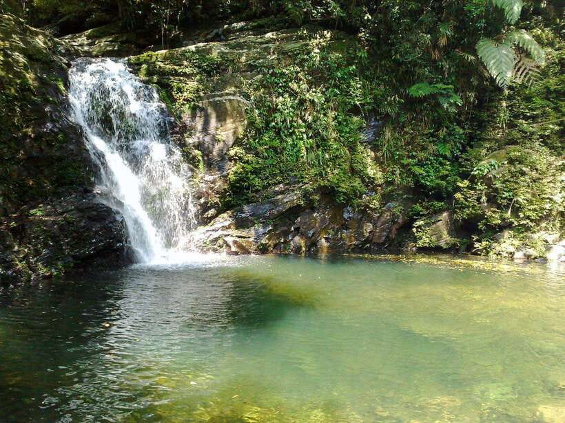 Da Nang: Bach Ma National Park Trek And Beach Retreat - Who should book this Bach Ma trip?