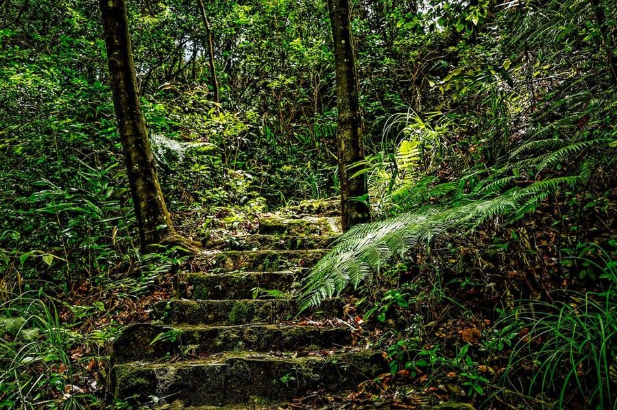 Da Nang: Bach Ma National Park Trek And Beach Retreat - Lang Co Beach and the seafood finish