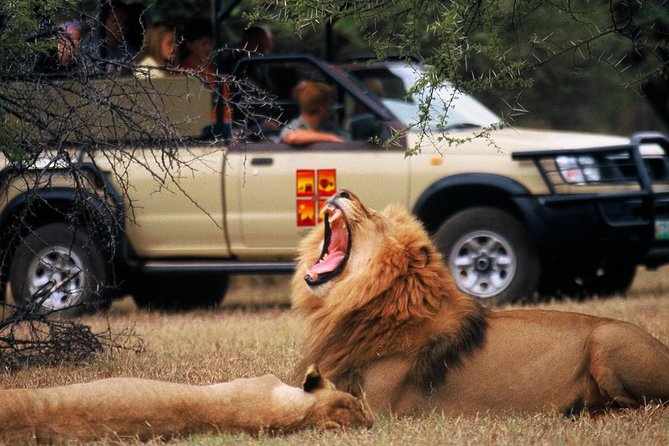 Daily Pilanesberg National Park Private Shuttle Services - The road to Sun City and Rustenburg