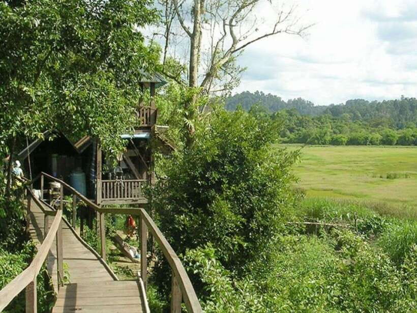 Dalat to Cat Tien National Park & Ho Chi Minh (2 or 3 Days) - Day two: Crocodile Lake and its forest trail