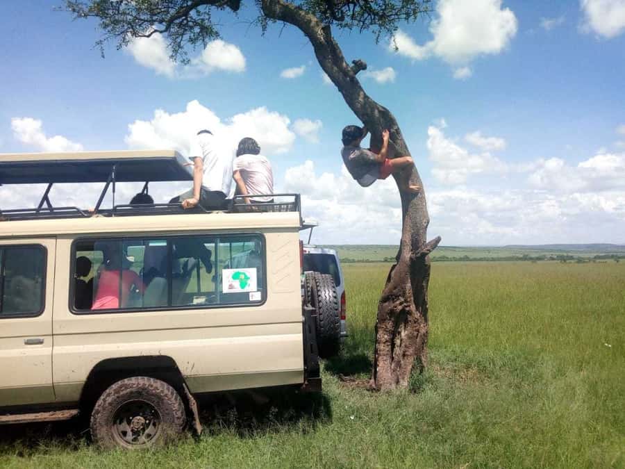 Dar el Salam: Full-Day Mikumi National Park Tour - Who will enjoy this day most?