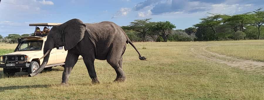 Dar es Salaam: Mikumi National Park Day Trip with Train Ride - Key points to know before you go