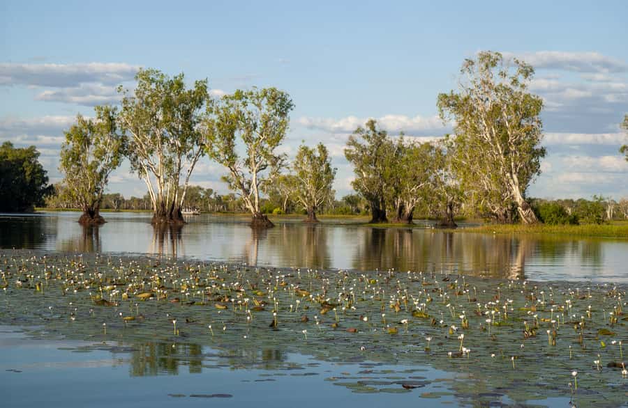 Darwin: Kakadu National Park Day Trip - Why this Kakadu day trip works for a short Darwin stay