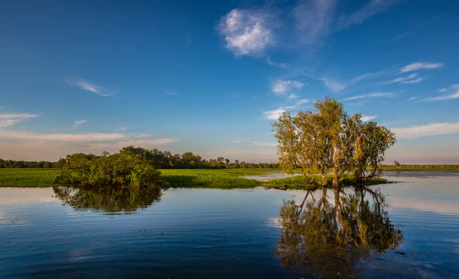Darwin: Kakadu National Park Day Trip - Warradjan Cultural Center in one focused hour