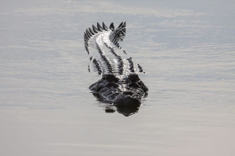 Darwin: Kakadu National Park Day Trip - Is $636 a fair price?