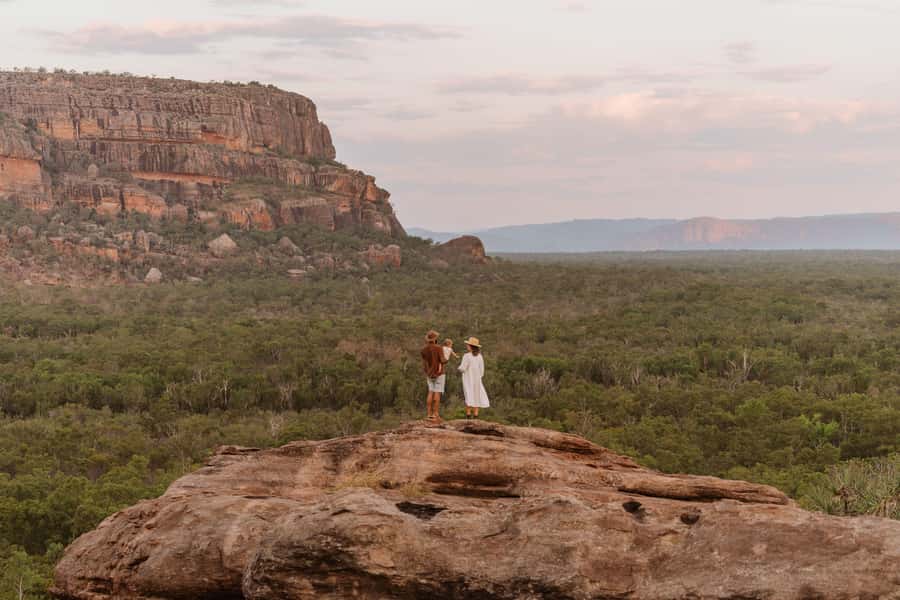 Darwin: Kakadu National Park, Yellow Water River Cruise - Yellow Water Cruise and its wildlife