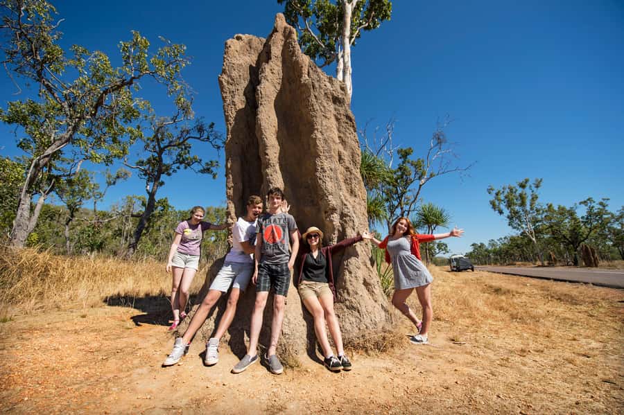 Darwin: Litchfield National Park Waterfalls & Wildlife Tour - Why Litchfield Makes a Good Day Trip From Darwin