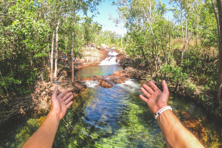 Darwin: Litchfield National Park Waterfalls & Wildlife Tour - Wet Season Planning From November to April