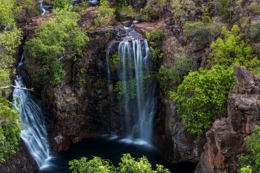 Darwin: Litchfield National Park Waterfalls & Wildlife Tour - Adelaide River Crocodiles and Fogg Dam