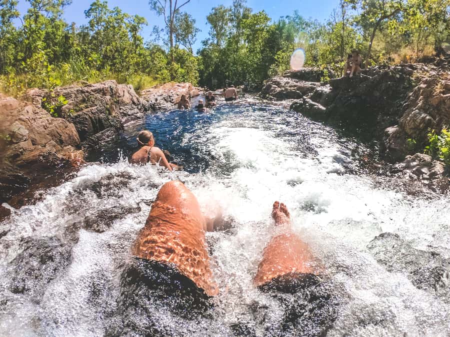 Darwin: Litchfield National Park Waterfalls & Wildlife Tour - What the Guide Adds to the Day
