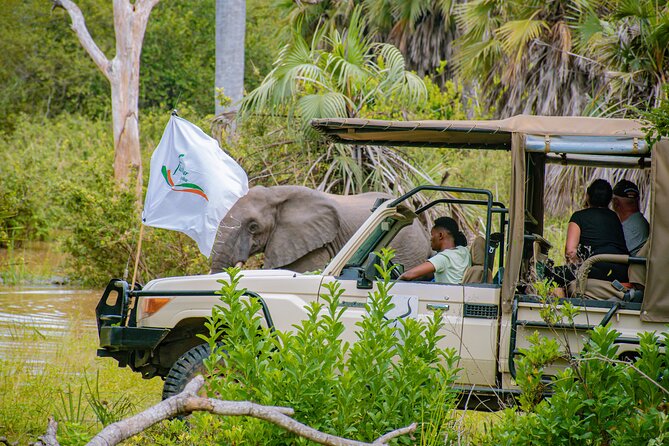 Day Safari Tour to Mikumi National Park - Is $480 a fair price?