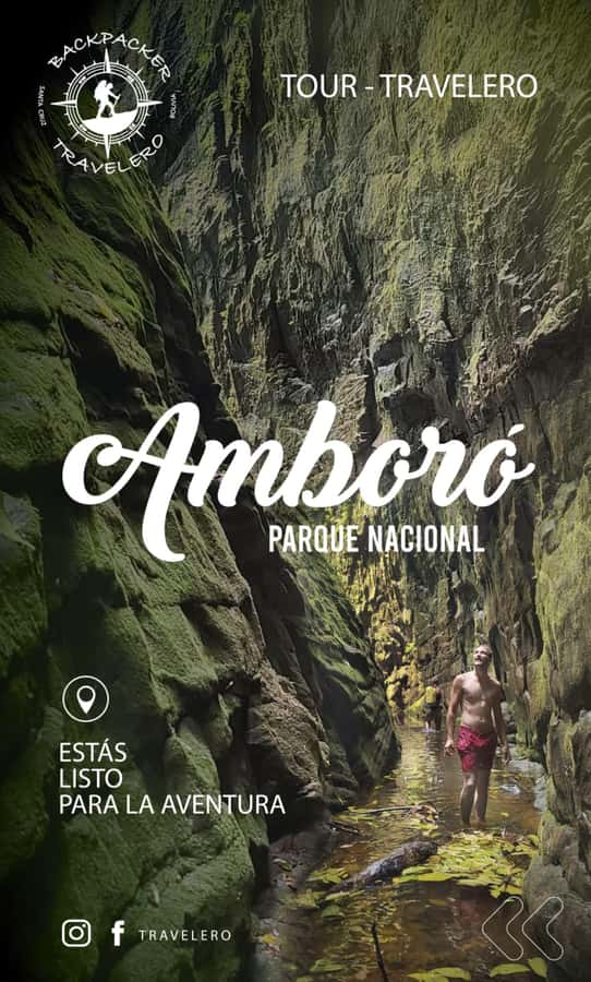 Day Tour / Amboro National Park (north side) - Key details before you book