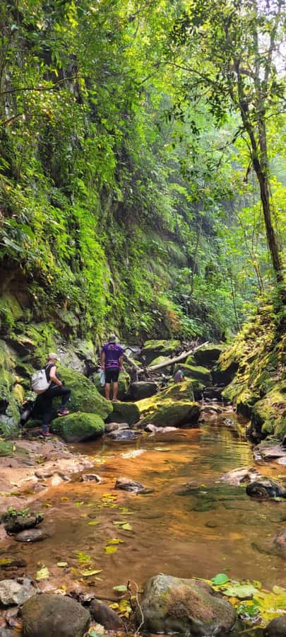 Day Tour / Amboro National Park (north side) - Food, timing, and the long return