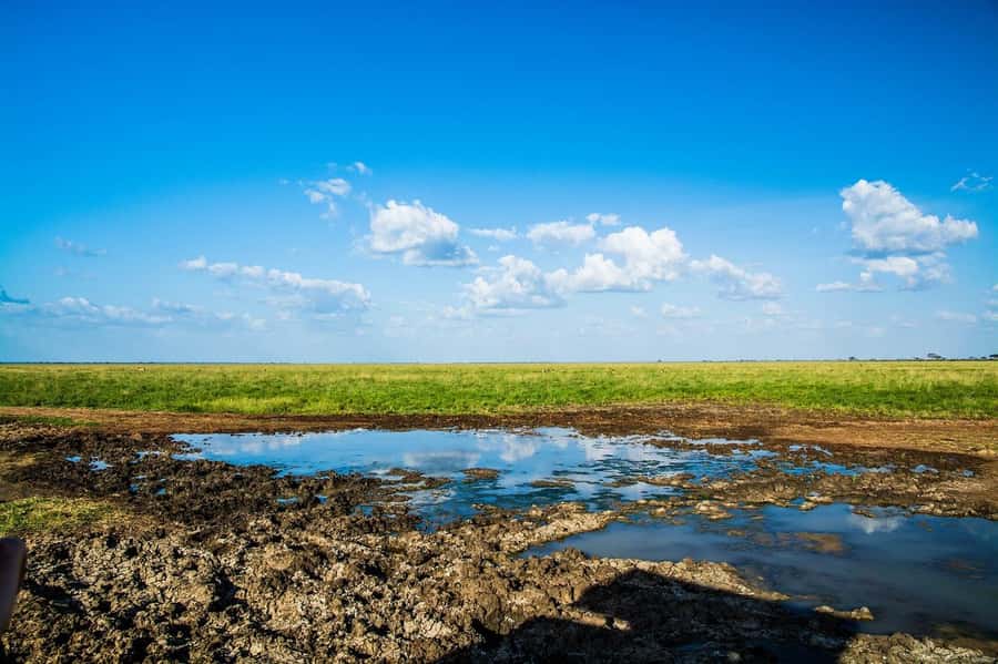 Day Tour of Tsavo East National Park from Mombasa/Diani - The 5:00 am pickup from Mombasa or Diani