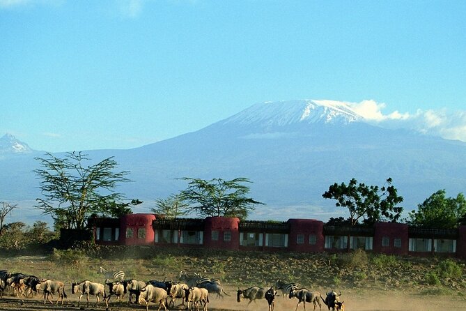 Day Tour to Amboseli National Park - Entering Amboseli National Park
