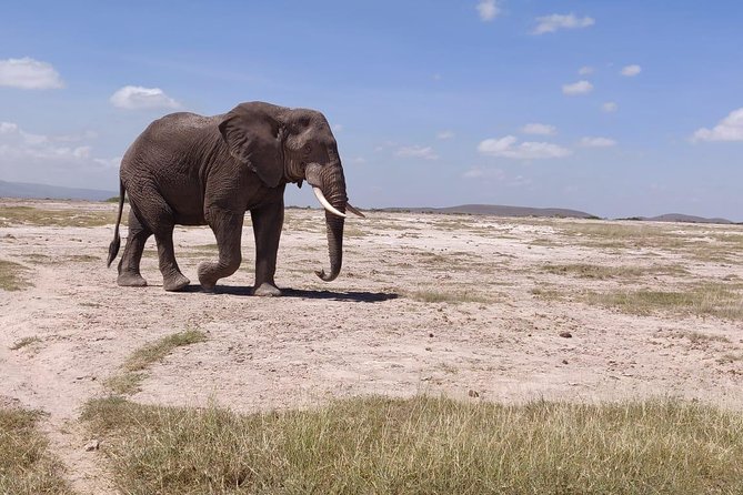 Day Tour to Amboseli National Park - Walking up Observation Hill