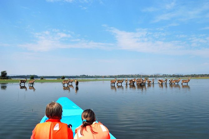 Day tour to Hell's Gate National park and optional Boat ride on lake Naivasha - How the private format changes the day