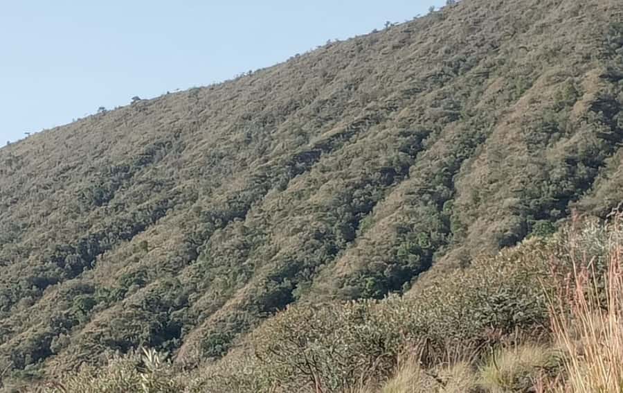 DAY TOUR TO MOUNT LONGONOT NATIONAL PARK- WITH PARK FEES - Key points to know before booking