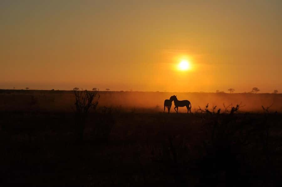DAY TOUR TO TSAVO EAST NATIONAL PARK FROM MOMBASA/DIANI - Lunch inside the park