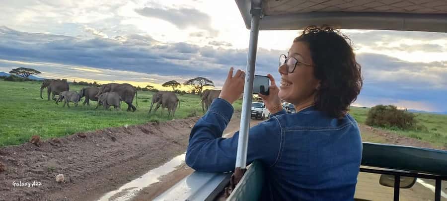 Day trip amboseli national park from nairobi budget safari. - Beyond elephants: lions, giraffes, and birdlife
